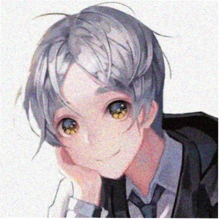 读者苏禾的头像插图
